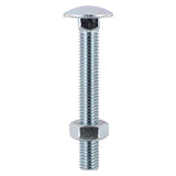 Carriage Bolt & Hex Nut