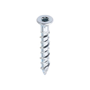 Multi-Fix Masonry Screw